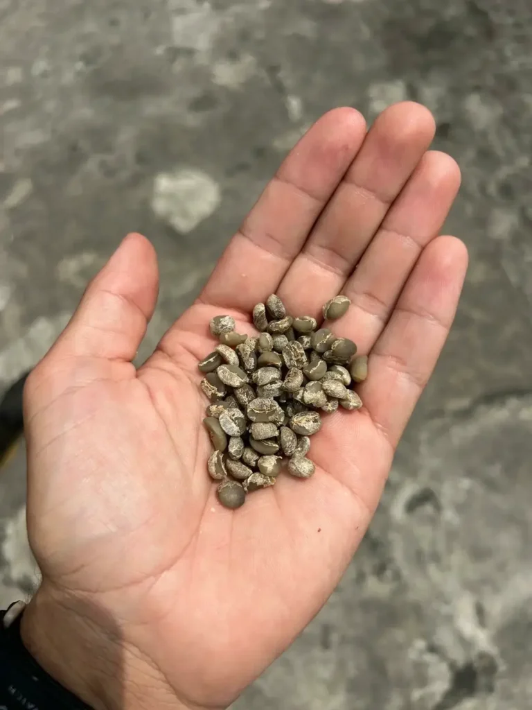 IMPULSAMOS DECISIONES